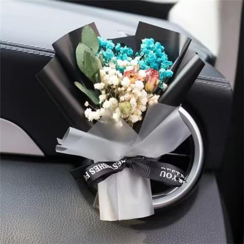 PandaXun Car Air Freshener Vent Clips