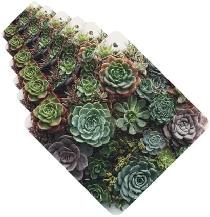 WEIHAKO 6 Pcs Car Air Freshener Cards Hanging Scented Decor