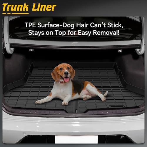 TIEZFUL Floor Mats Set for KIA K4 2025 Black