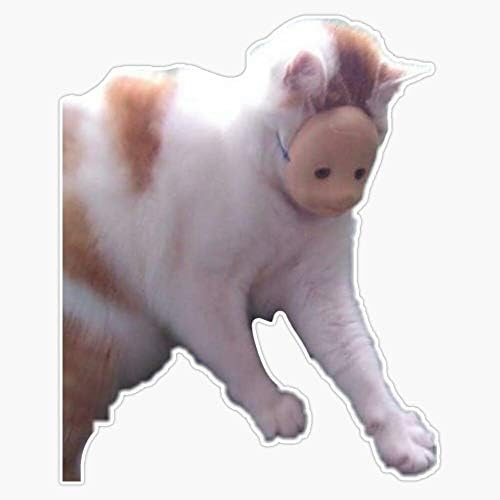 Cursed Cat Baby Face Meme Waterproof Vinyl Decal Bumper Sticker 5x8