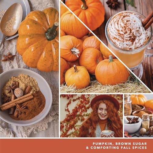 Yankee Candle Car Jar Spiced Pumpkin