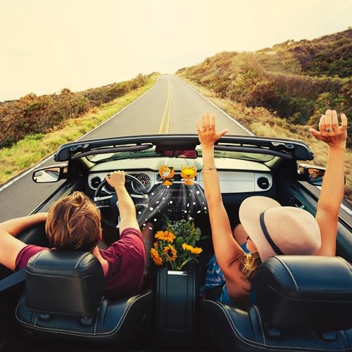 Square John Dried Flower Vent Clips For Car 2pcs Set
