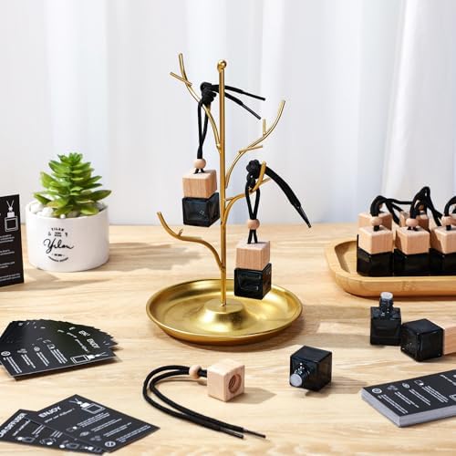 100pcs Square Black Glass Diffuser Bottles with Lanyards and Instruction Cards