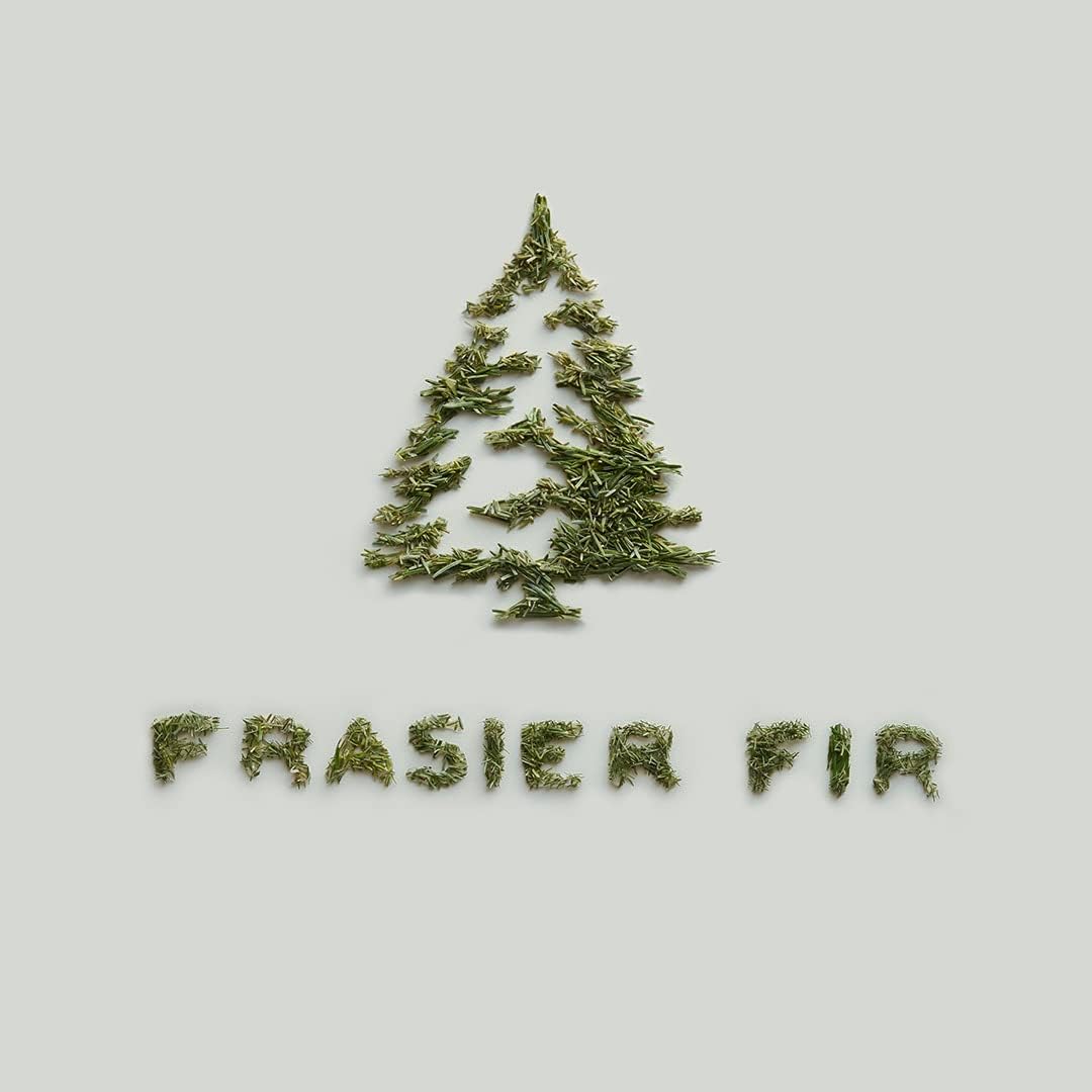 Thymes Frasier Fir Car Diffuser Kit with Refills