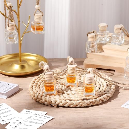100pcs Clear Glass Car Diffuser Bottles with Lanyard and Instruction Cards