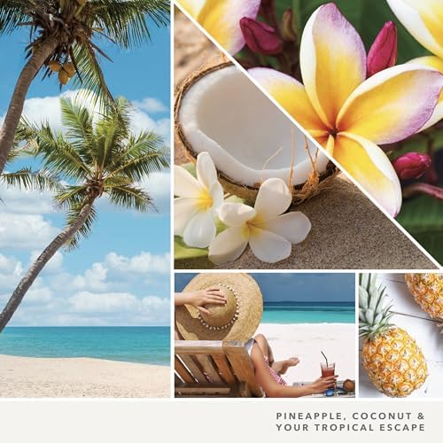 Yankee Candle Car Jar Paper Coconut Beach 1 CT Pack of 6