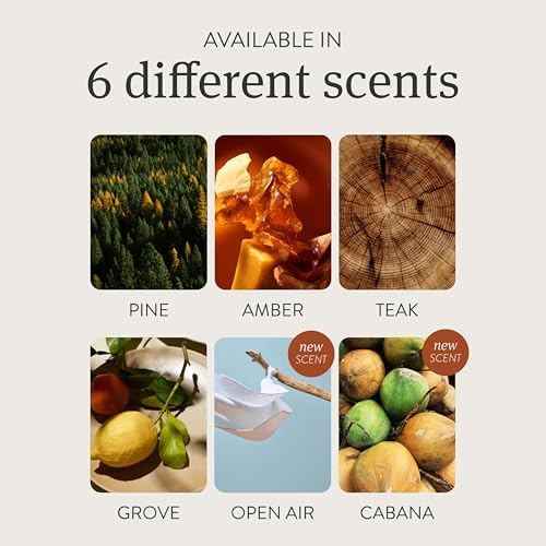 Drift Car Air Freshener - 3 Pack Wood Scent