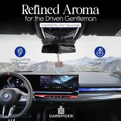CARSPICES Suvage Fragrance Diffuser - Luxury Car Scent