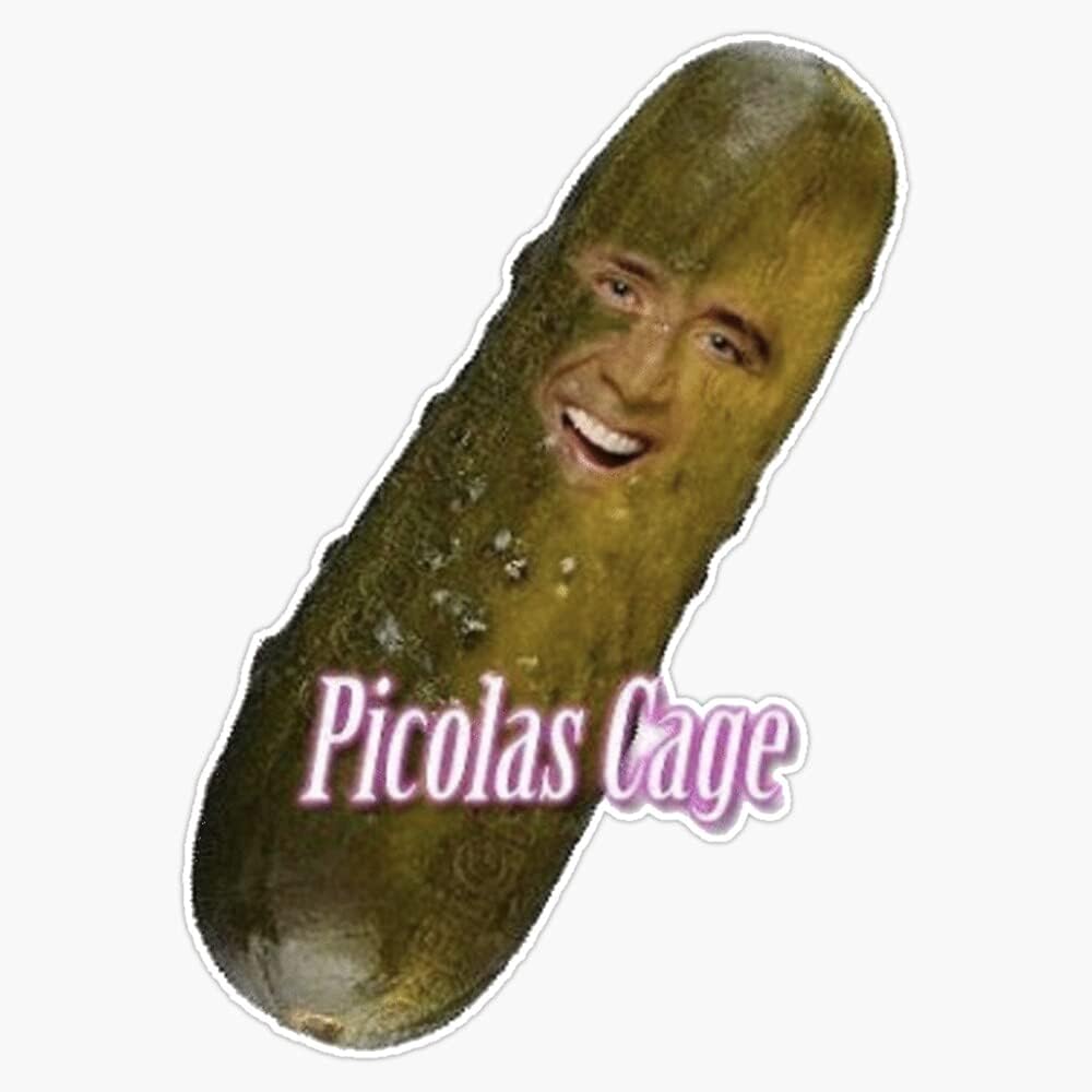 Picolas Cage Bumper Sticker Decal 5 Inch