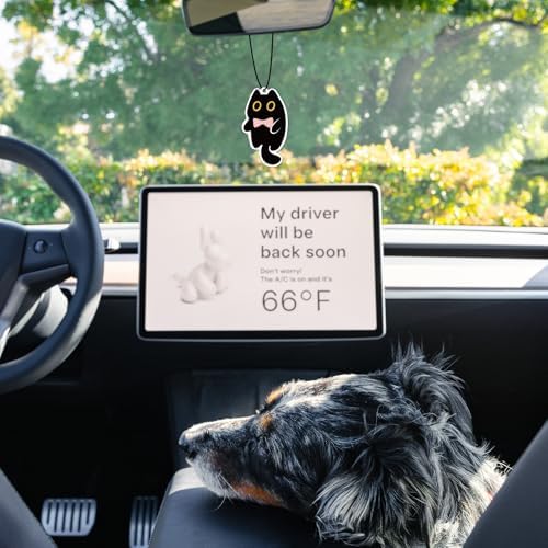10PCS Cute Black Cat Hanging Air Fresheners with 5 Scents