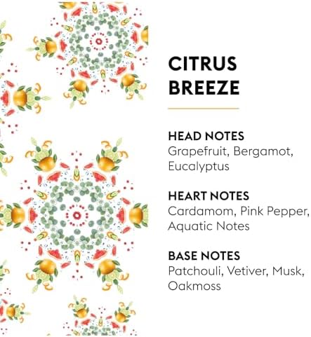 Maison Berger 2 Ceramic Pods for Car Air Freshener Diffuser