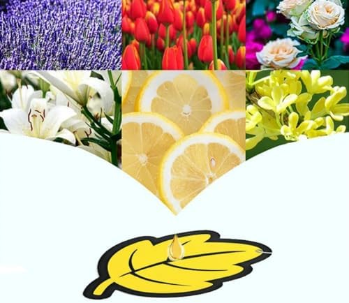Leaf Shape Car Air Freshener Decor 6 Pcs