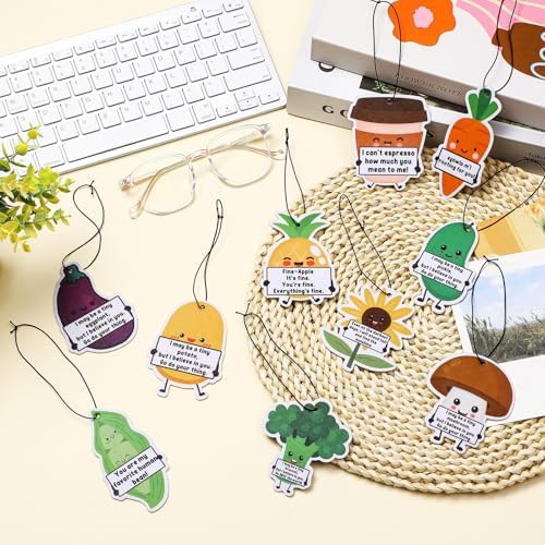 10 Pcs 10 Style Positive Car Air Fresheners with Scented Incense Chips
