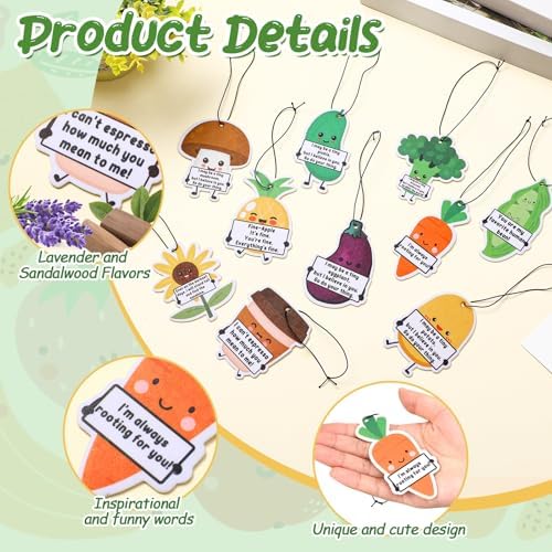 10 Pcs 10 Style Positive Car Air Fresheners with Scented Incense Chips