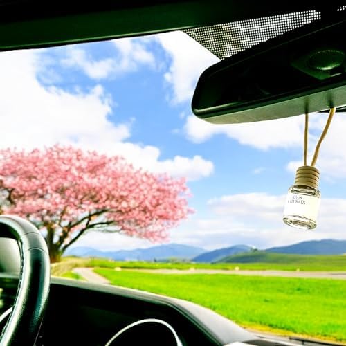 Urban Naturals Car Air Freshener Diffuser - Cherry Luxe Scent