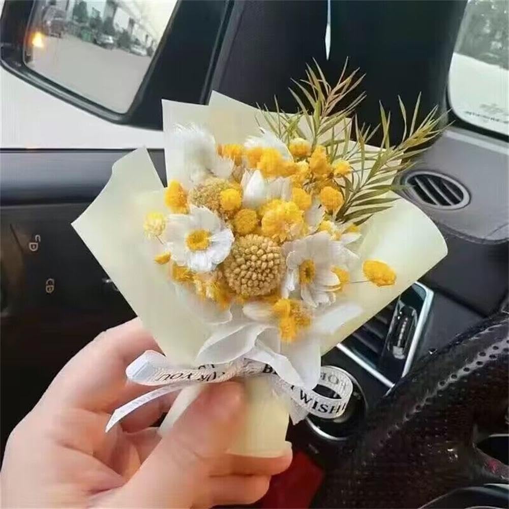 PandaXun Car Air Freshener Vent Clips