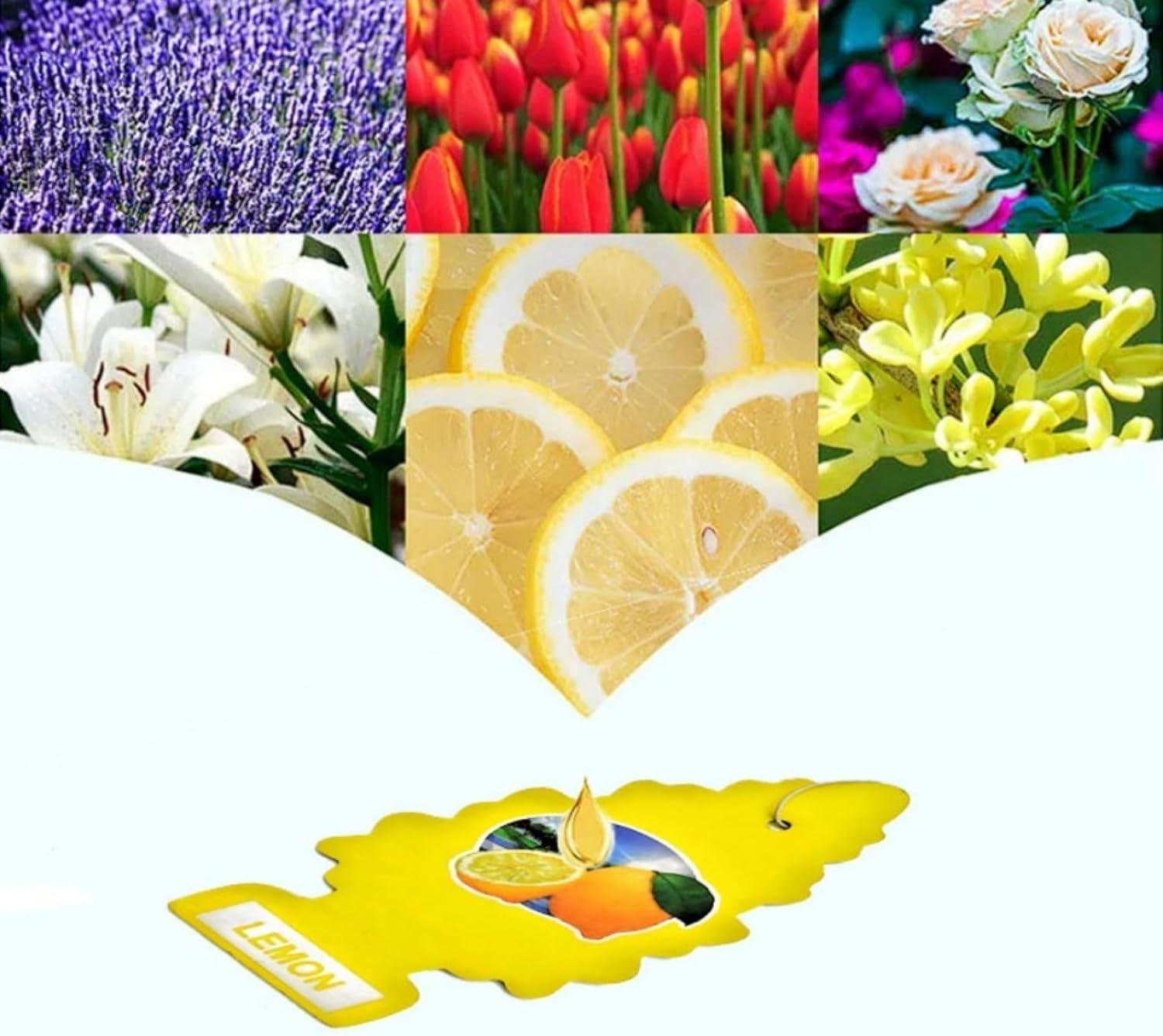 Natural Scented Tea Paper Car Air Freshener 8PCS