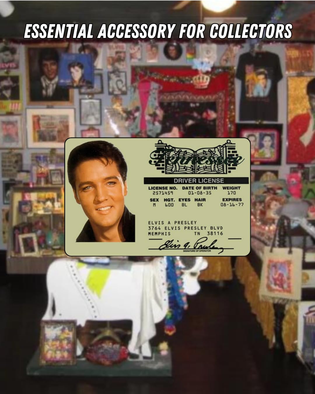 Elvis Presley Driver License Frame Funny ID Collectible