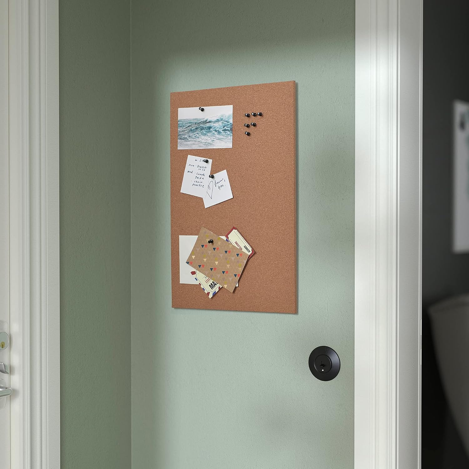 IKEA FLNSA Memo Board With Pins 52x33cm Cork